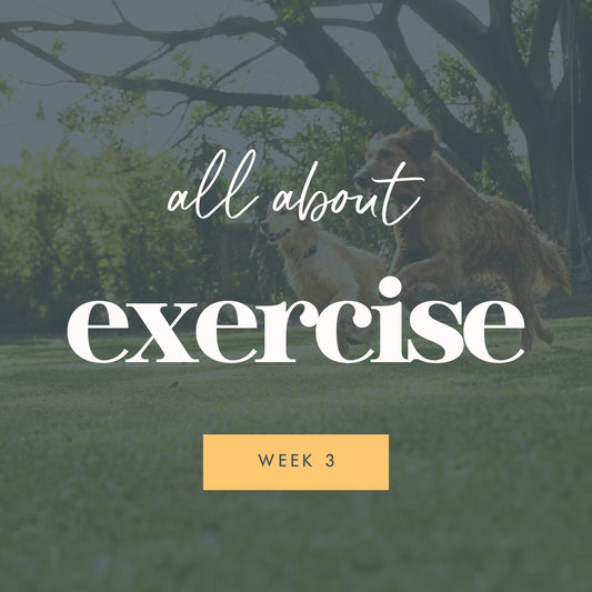 Week 3 - Exercise