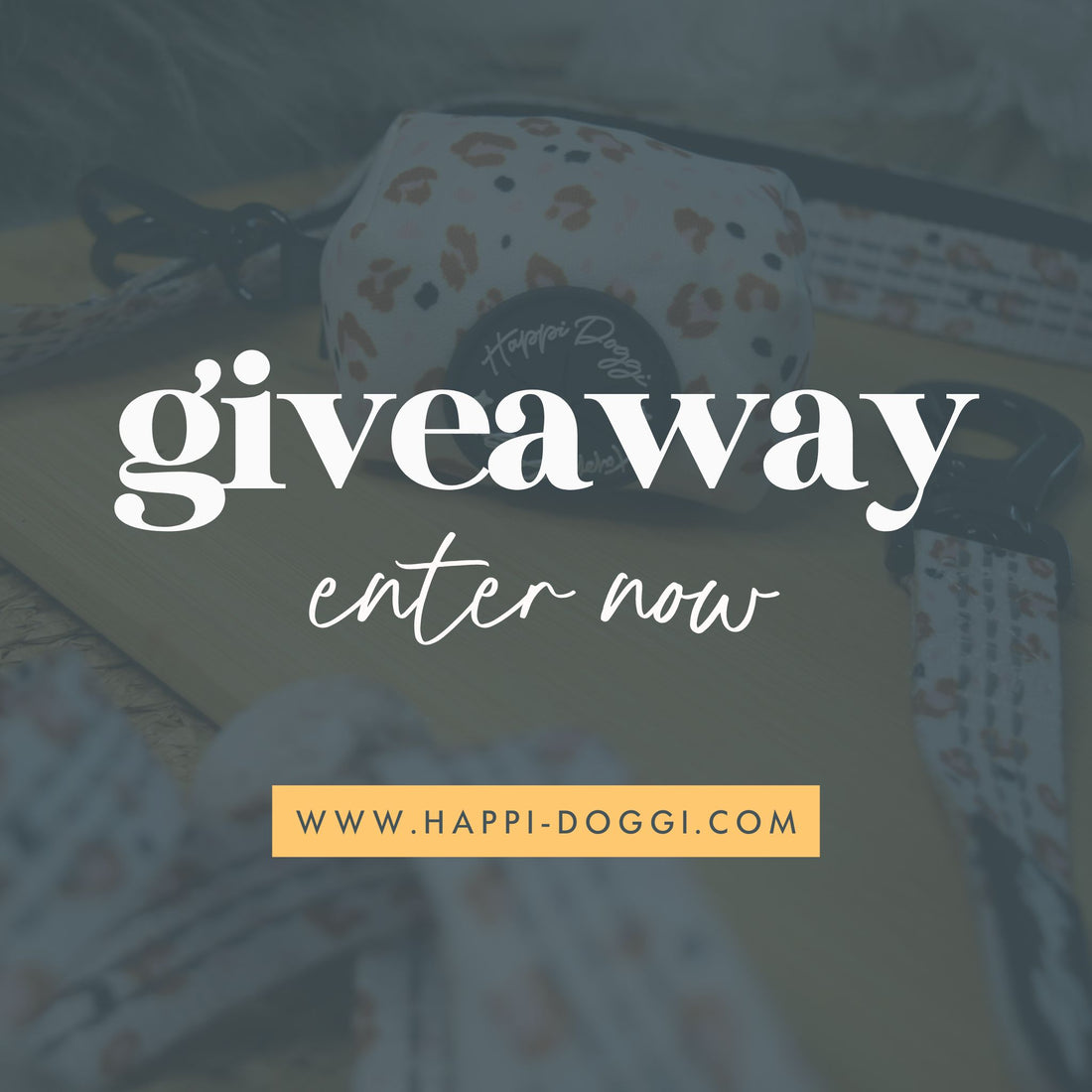 Giveaway! Win £70 of Dog Accessories Right HERE!