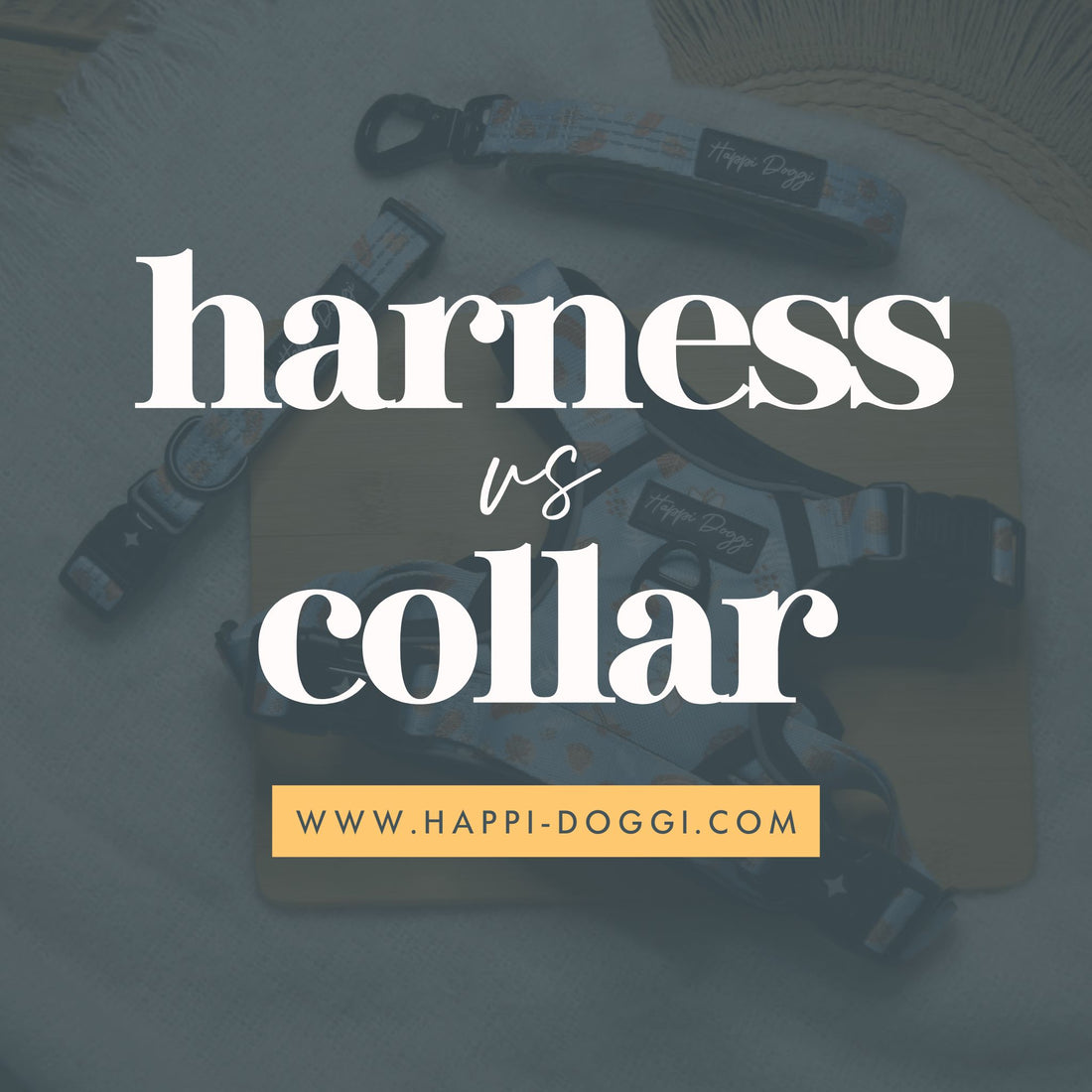 Dog Harness or Dog Collar: Which Is Better?