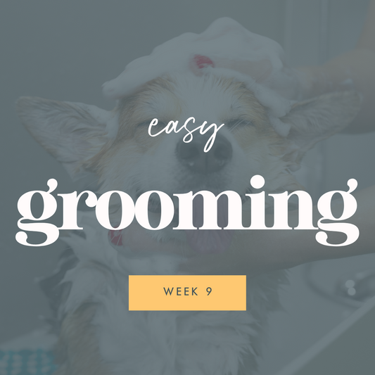 Week 9: Easy Grooming